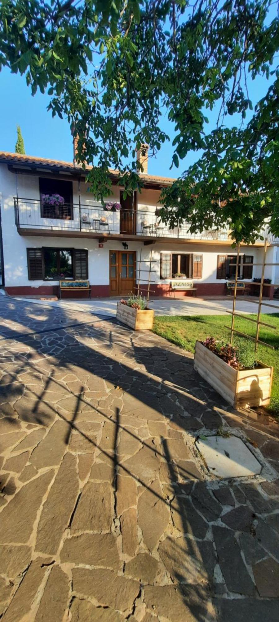 Apartma Brina 3 Sezana Exterior photo